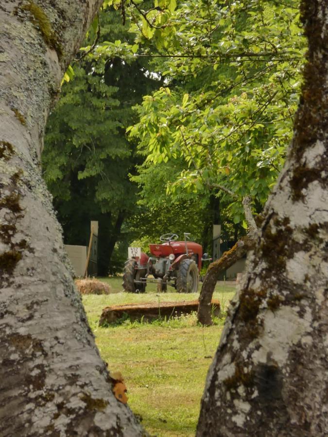 Domaine Du Venet Villa Montcony ภายนอก รูปภาพ
